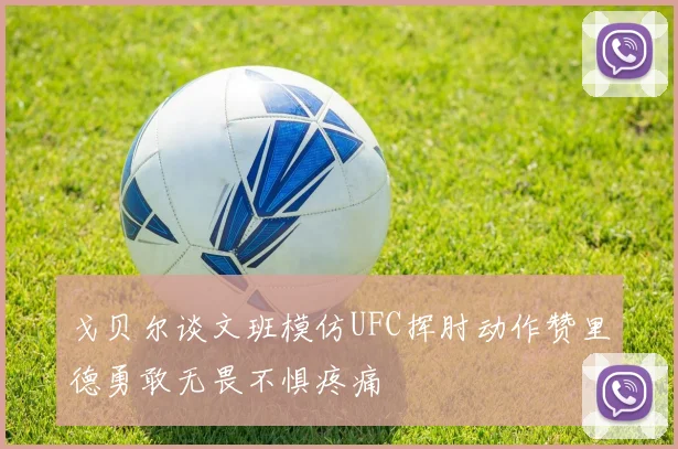 戈贝尔谈文班模仿UFC挥肘动作赞里德勇敢无畏不惧疼痛