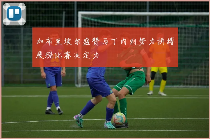 加布里埃尔盛赞马丁内利努力拼搏展现比赛决定力